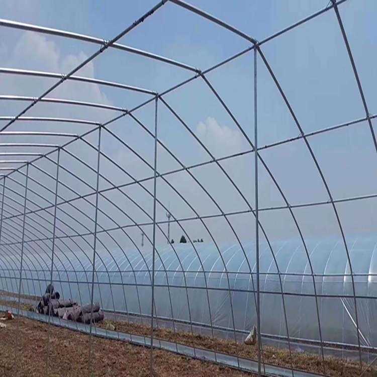 ȫ䓼չů߲˴䓼܆wǼʩ