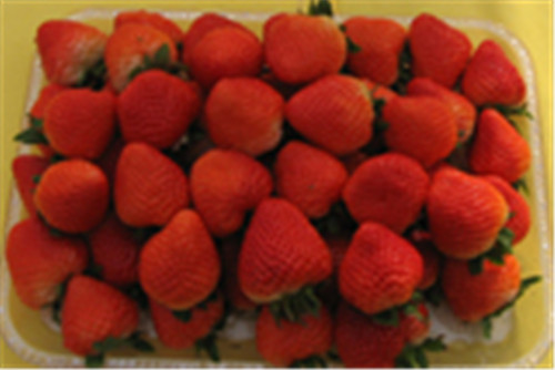 ݮ@ˮݮ@ȷݮ@ػʍuݮ@ɽݮ