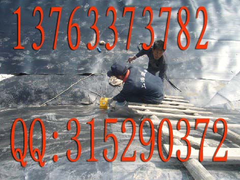 Ǹ۷BĤaS,ǸHDPEĤSrl