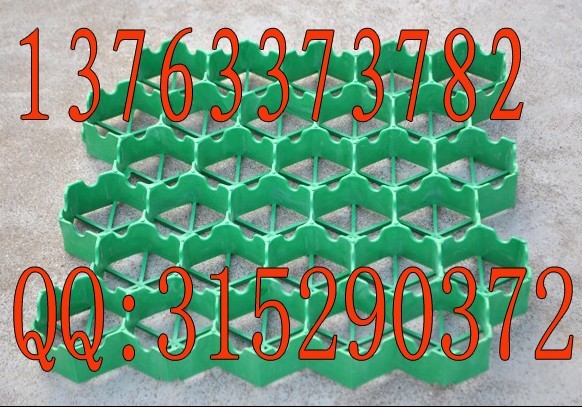 ֲݸ,ͣ܇(ch)λGֲݸ