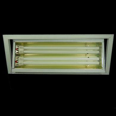 (hu)hҟɫ(hu)hɫDSR 2*36W