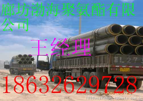 ϩ⚤ֱ񱣜ع-йֱ񱣜عaS