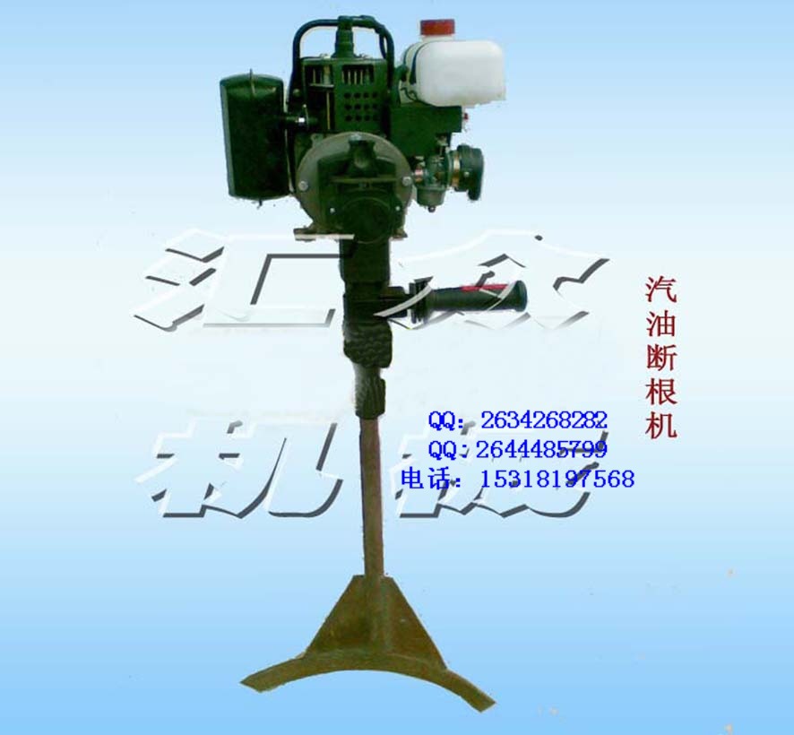 yʽľ 磬 ֲ ژ䡿C Y3