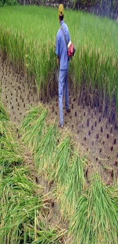 СոC(j),С?zhn)ոC(j),C(j),СոC(j)r(ji),СոC(j)