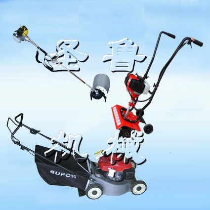 ɽ|ʥINۡ๦@C΢CݙC