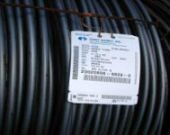 K݅ǽɽֱNF(bio)ט(bio)