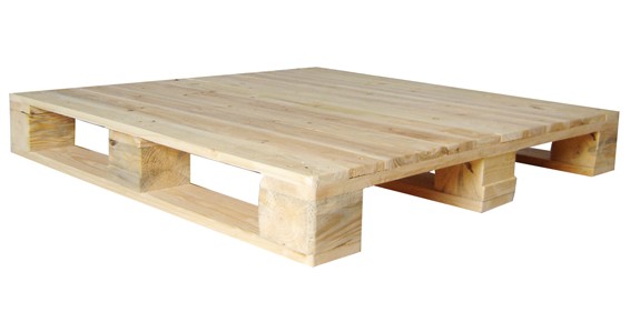 ܿhѬбP,01ľбP,zϰбP