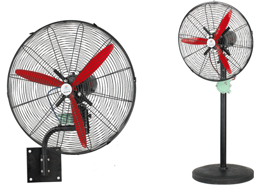 кꃞ|L_½|LȈr_ILȶ