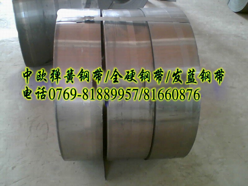 65Mn SUP10Ӳ ձסя䓎Ƭ