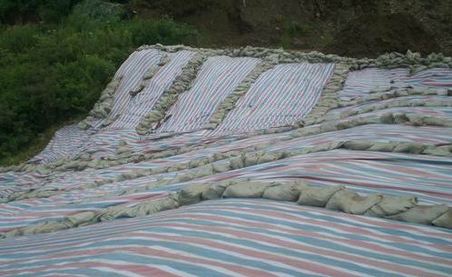 ʗlݲʗlҎ񣬸ģ̲ʗl