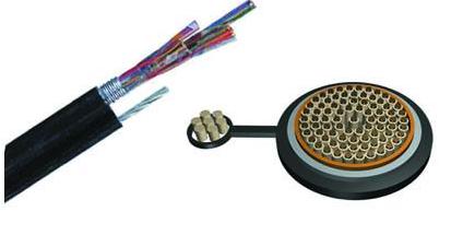 PZYA23F·|-zbF·̖|PTYA23