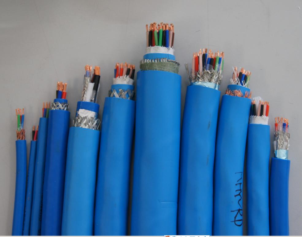 F·̖|PTYA22PTYA22̖|