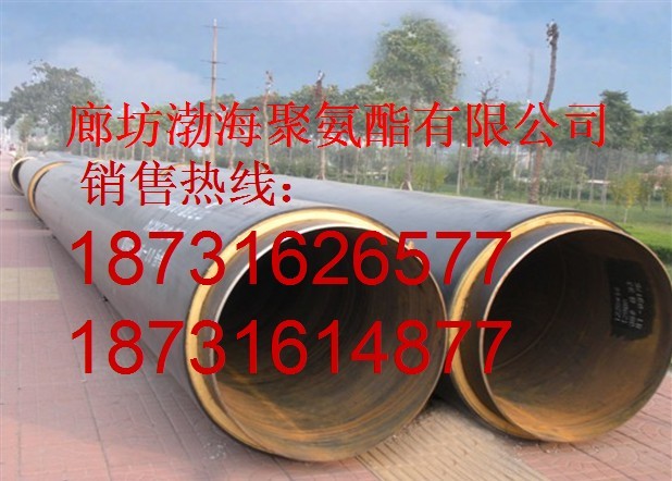 ֱ񱣜ع܃r ϩֱ񱣜ع܏S Aƾ۰A˹̖