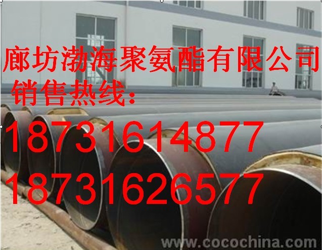 Aƾ۰lݹ܃r ֱ񱣜ع܏S    ֱͺϹ̖