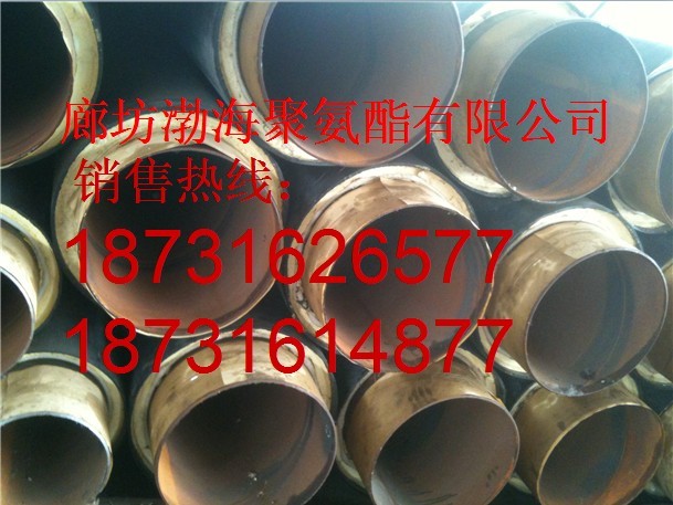 Aƾ۰lݹ܃r ֱlݹ܏S    Aֱ񱣜ع̖