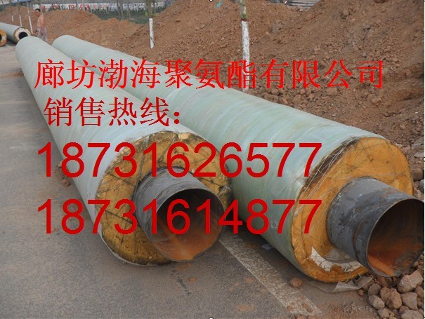 ڏ䓱ع 䓱عҎ 䓱ع