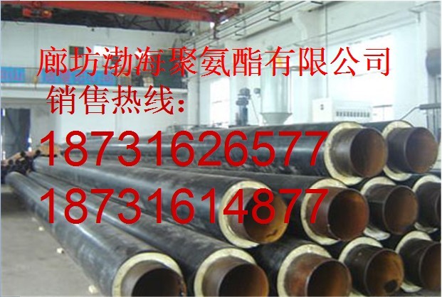 Aƾ۰lݹܡFAƾ۰lݹܡAƾ۰lݹҎ