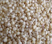 hЙCsZ֮-׃r-נIBrֵ