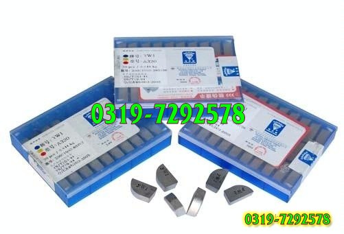 SrlؕL Ӳ|Ͻ YT5 A320 A118 Ͻ^