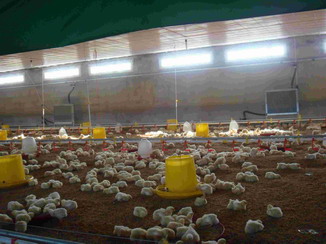 B(yng)uؿ偠tB(yng)u؜偠tuB(yng)ֳ؜偠t