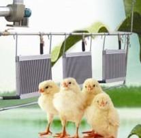 BֳӜ偠tHFIBֳӜ偠tHFBֳӜ偠t