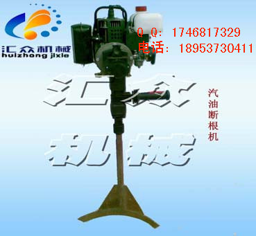 (yng)͔C(j)С͔C(j)r 07