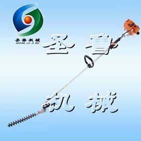 ๦ܸ֦䏡֦   ɽ|ʥCе