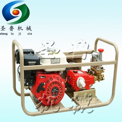 Сpʽϴ܇ D-ɽ|ʥCеS