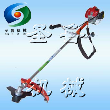 DPʽݙCؓʽݙCDPʽݙCr