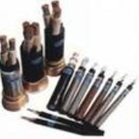 NYC-J| YC-Jӏ| YC-JؙC|