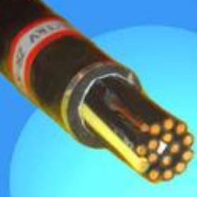 RȫMYQ|MYQúVIܛ|3*2.5|r