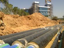 ⻬䓱䓹/ֱʽ䓱䓹