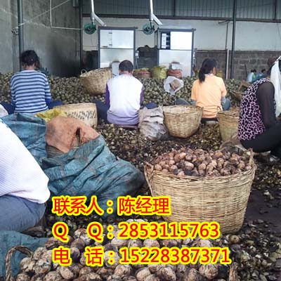 Ĵ״ͺəCĴəCaSңĴəCԭ