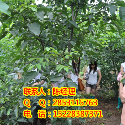 ݴ烞(yu)|(zh)磬ݴbeݴ(sh)