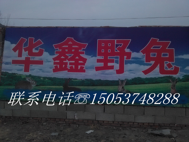 ͏נF(xin)sҰöXһֻu