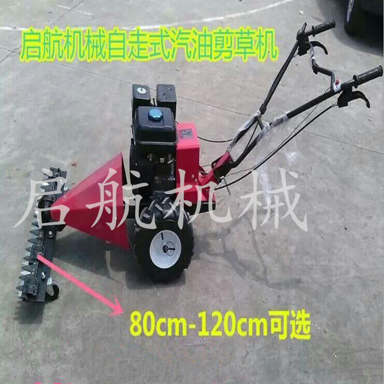 |ݸޣݸݙC ·߅ҰݸݙC,