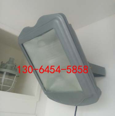 ѣ(qing)ⷺCYGF890-J250W IP65