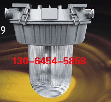 ЧѣZY8600 ZY8600 W늌ß