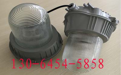 ѣƽ_(ti)NFP088 NFP088 }܇gß