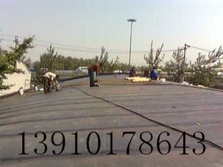 ͨ݅^_ˮ© Rx򌣘Iˮ˾