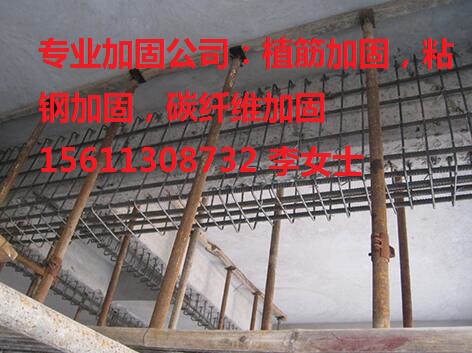 ֲӹ|ɽI(y)Ƿֲӹ̹˾