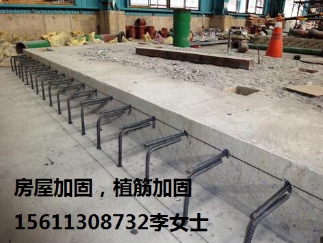 (j)ϘǷֲӹ|eֲ|ֲӹB(yng)o(h)