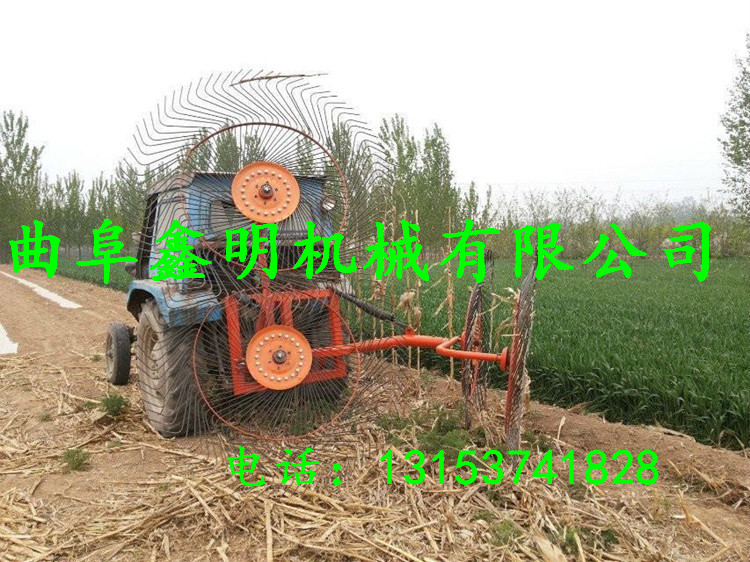 ЧʓɃݙCr ;ݙC pAPݸݙCDƬ