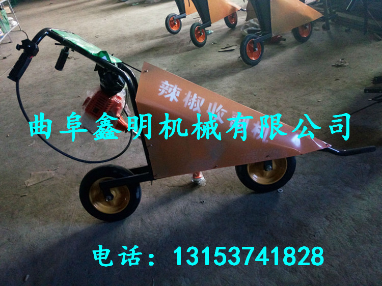 ɽ|ȫԄի@C ոC ַCF؛ֱN