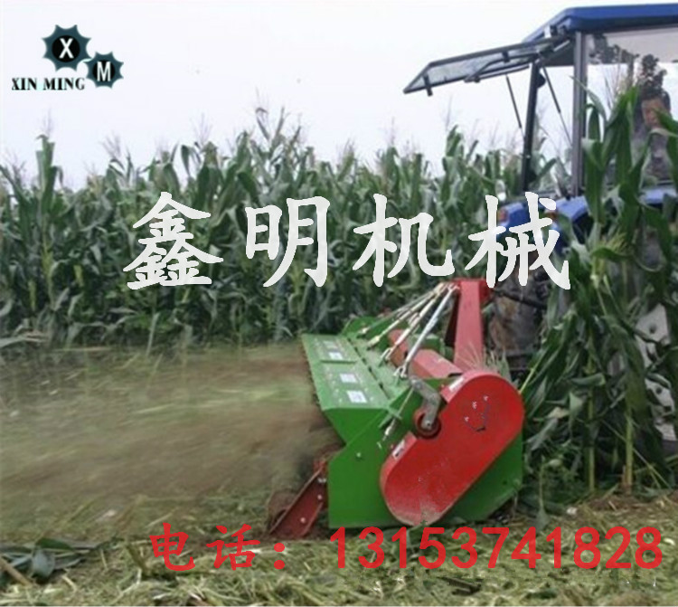 ɽ|Iն߀CS Ȃ߀C Сͽն߀Cl