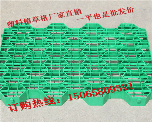 #gӭR>>>ɹֲݸSңF//I޹˾gӭ