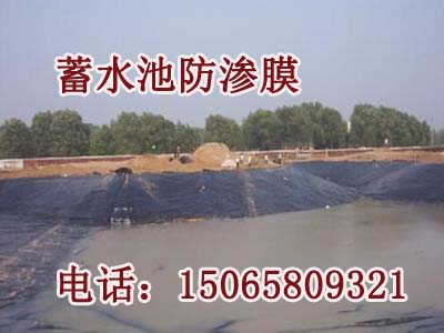 VзBĤSҡF(tun)(sh)I(y)޹˾@gӭ