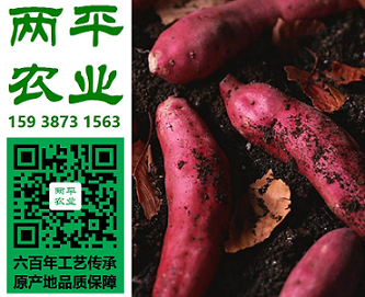 ܼtۗl֪Ʒ|ܼtۗl(sh)S|ڼtۗlӹS̡ƽr(nng)I(y)