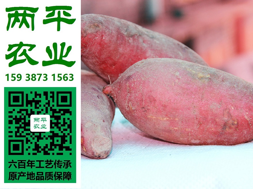 ȫֹtۗlֽzz|ڼtۗlQ|ڼtۗll(f)̡ƽrI(y)