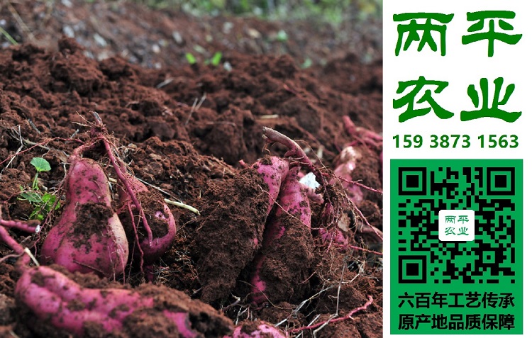 ϼȫֹtۗlɢbl|ϼڼtۗlЈ|ϼtۗlȫƽrI